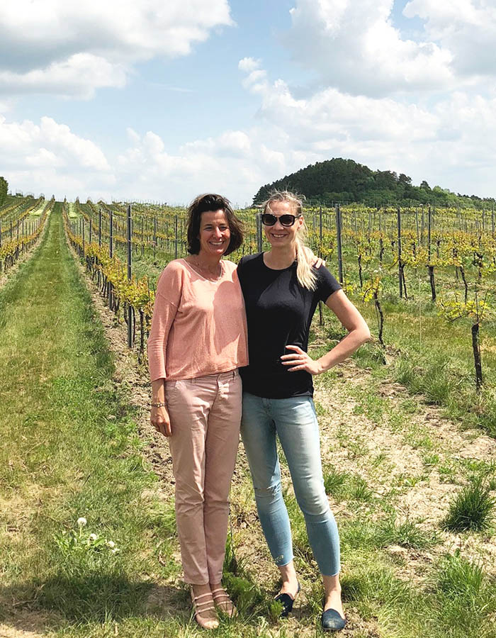 Team management of Wine travel in Czech in action