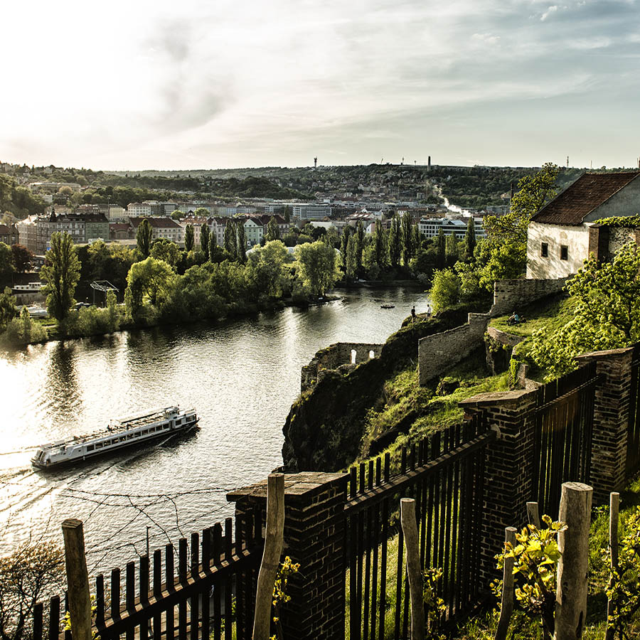 wine tasting tour prague