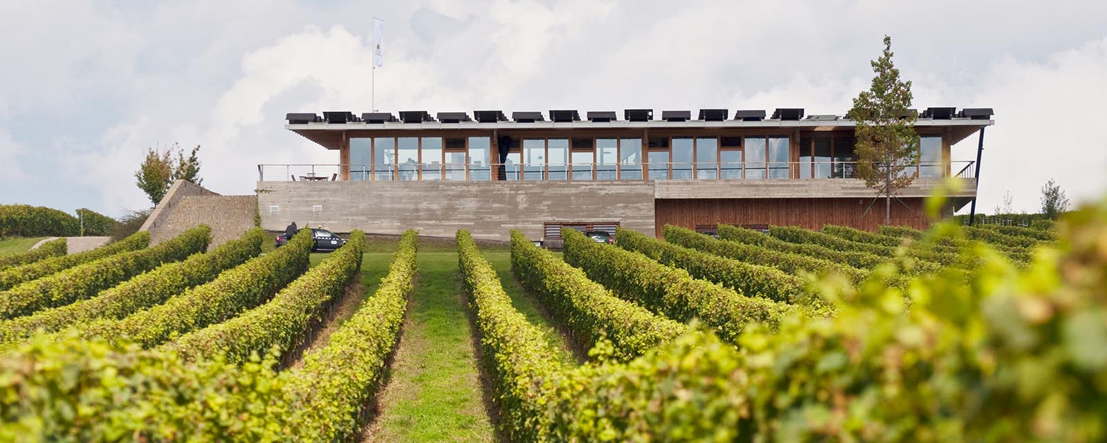discover wine tours in Czech for a good corporate moment